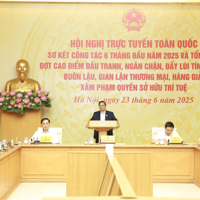 Thủ tướng Phạm Minh Chính: Huy động cả hệ thống chính trị chống hàng giả