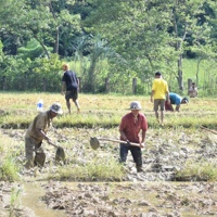 Khẳng định chủ trương đúng đắn, tạo đột phá cho phát triển nông thôn và giảm nghèo bền vững