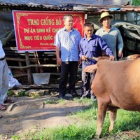 Chiến lược phát triển nông thôn mới gắn với giảm nghèo bền vững giai đoạn mới