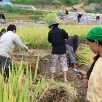 Hà Giang kiến nghị tiếp tục hỗ trợ nguồn lực thực hiện mục tiêu giảm nghèo, xây dựng nông thôn mới