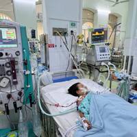 TP. Hồ Chí Minh: Số ca bệnh sốt xuất huyết tăng cao gần 60% trong một tuần