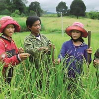 Giảm nghèo bền vững là động lực phát triển kinh tế - xã hội