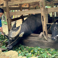 Tăng tốc chương trình nông thôn mới và giảm nghèo