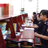 VIDEO: Nợ thuế hàng chục tỷ, doanh nghiệp ‘bốc hơi’: Hải quan mạnh tay cưỡng chế