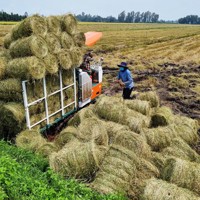 Kinh tế tuần hoàn – động lực để ngành nông nghiệp phát triển hiện đại và bền vững
