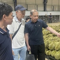 Tổng cục Hải quan Trung Quốc đánh giá cao chất lượng sầu riêng của Lâm Đồng