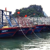 Thành lập 2 đoàn công tác chỉ đạo chống bão số 3 Wipha tại cảng biển phía Bắc