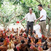 bongdaso com chính sách tiếp sức giúp người nghèo vươn lên