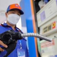 Sử dụng xăng sinh học E10 - Bước chuyển dịch năng lượng tới Net Zero