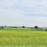 Hà Nội phát triển nông nghiệp theo hướng sinh thái 
