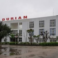 Khởi tố giám đốc người Mỹ trốn thuế hơn 3,2 tỷ đồng