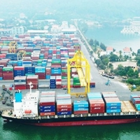 Đà Nẵng xuất siêu 100,6 triệu USD trong 7 tháng đầu năm