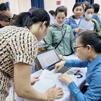 TP. Hồ Chí Minh: 18.744 đơn vị, doanh nghiệm chậm đóng BHXH, BHYT từ 3 tháng trở lên