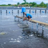 Cà Mau: Các tổ chức tín dụng hỗ trợ vốn kịp thời cho hộ kinh doanh và doanh nghiệp