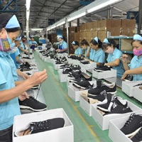 Hướng dẫn thực hiện Quy tắc xuất xứ hàng hoá trong Hiệp định AANZFTA