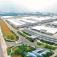 Hồ sơ và thủ tục giảm tiền thuê đất năm 2025: Những điều cần lưu ý