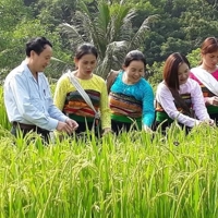 Việt Nam trên hành trình xóa nghèo toàn diện