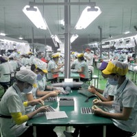 Xuất nhập khẩu nửa đầu tháng 8/2025: Khu vực FDI tiếp tục chiếm ưu thế