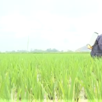 Đổi mới hoạt động khuyến nông trong tình hình mới