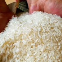 Giá gạo Việt xuất khẩu tiếp tục tăng cao nhất trong 3 tháng
