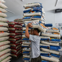 Philippines giảm thuế nhập khẩu gạo từ 35% xuống còn 15%