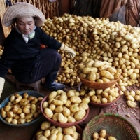 "Thay màu" nông sản: Đừng để nông dân phải loay hoay tự bảo vệ mình