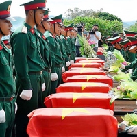 Phê duyệt thành viên Ban Chỉ đạo quốc gia về tìm kiếm, quy tập và xác định danh tính hài cốt liệt sĩ