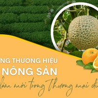 Xây dựng thương hiệu cho nông sản - cách làm mới từ thương mại điện tử