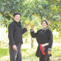 Về Nặm Đăm gặp già làng tiên phong làm kinh tế