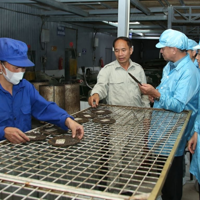Sơn La hỗ trợ doanh nghiệp vừa và nhỏ phát triển hiệu quả