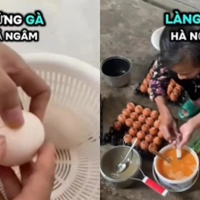 Hiệp hội Gia cầm đề nghị điều tra về thông tin “trứng gà giả”