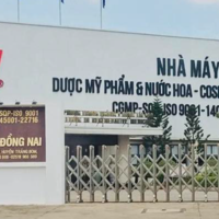Khởi tố vụ mỹ phẩm giả liên quan chồng Đoàn Di Băng