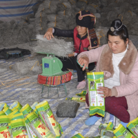 Thúc đẩy tài chính toàn diện và phát triển kinh tế hợp tác trong nền kinh tế số