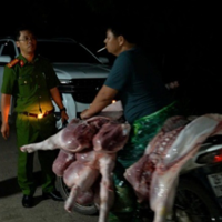 Triệt phá đường dây tiêu thụ thịt lợn bệnh cực lớn tại Hà Nội