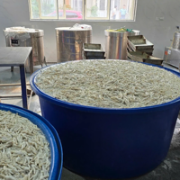 Phát hiện hơn 13 tấn chân gà ngâm hóa chất chuẩn bị tuồn ra thị trường