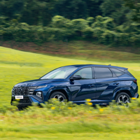 Nửa năm 2025, TC GROUP bán được 24.204 xe Hyundai