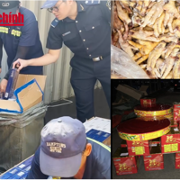 VIDEO: Truy vết chiêu trò buôn lậu, trốn thuế trên mọi tuyến