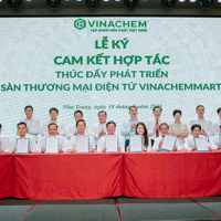Vinachem hoàn thành xuất sắc mục tiêu tăng trưởng 8%