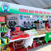 Hợp bongdaso danh sách các trận đấu xã điện tử - "Lối vào" mạng lưới doanh nghiệp an toàn cho hộ kinh doanh