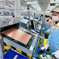 INFOGRAPHIC: Bức tranh doanh nghiệp Việt Nam trong 7 tháng đầu năm 2025
