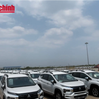 VIDEO: Ô tô nhập khẩu bùng nổ: Gần 600 xe về Việt Nam mỗi ngày