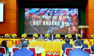 Kết quả thực hiện nhiệm vụ tài chính – ngân sách nhà nước năm 2022