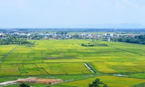 Quản lý, sử dụng đất đồng bộ với nền kinh tế thị trường định hướng xã hội chủ nghĩa