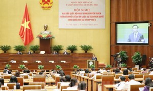 Xem xét 7 dự án luật trình Quốc hội tại Kỳ họp thứ 5