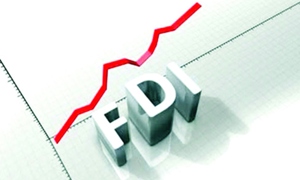 Dự án FDI có quy mô vốn đầu tư dưới 1 triệu USD chiếm tới gần 70%