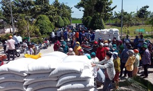 Đã xuất cấp 12.882 tấn gạo dự trữ quốc gia hỗ trợ nhân dân các địa phương