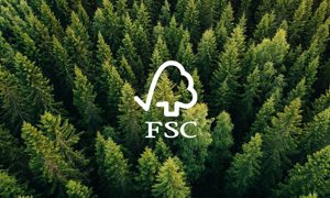 Tiêu chuẩn FSC mang lại lợi ích gì cho doanh nghiệp?
