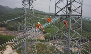 Đường dây 500 KV mạch 3 Quảng Trạch - Phố Nối - dự án trọng điểm quốc gia lập nhiều kỷ lục