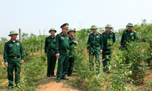 Hỗ trợ tài chính đối với Đoàn kinh tế - quốc phòng