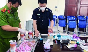 Đấu tranh ngăn chặn tội phạm về ma túy từ sớm, từ xa